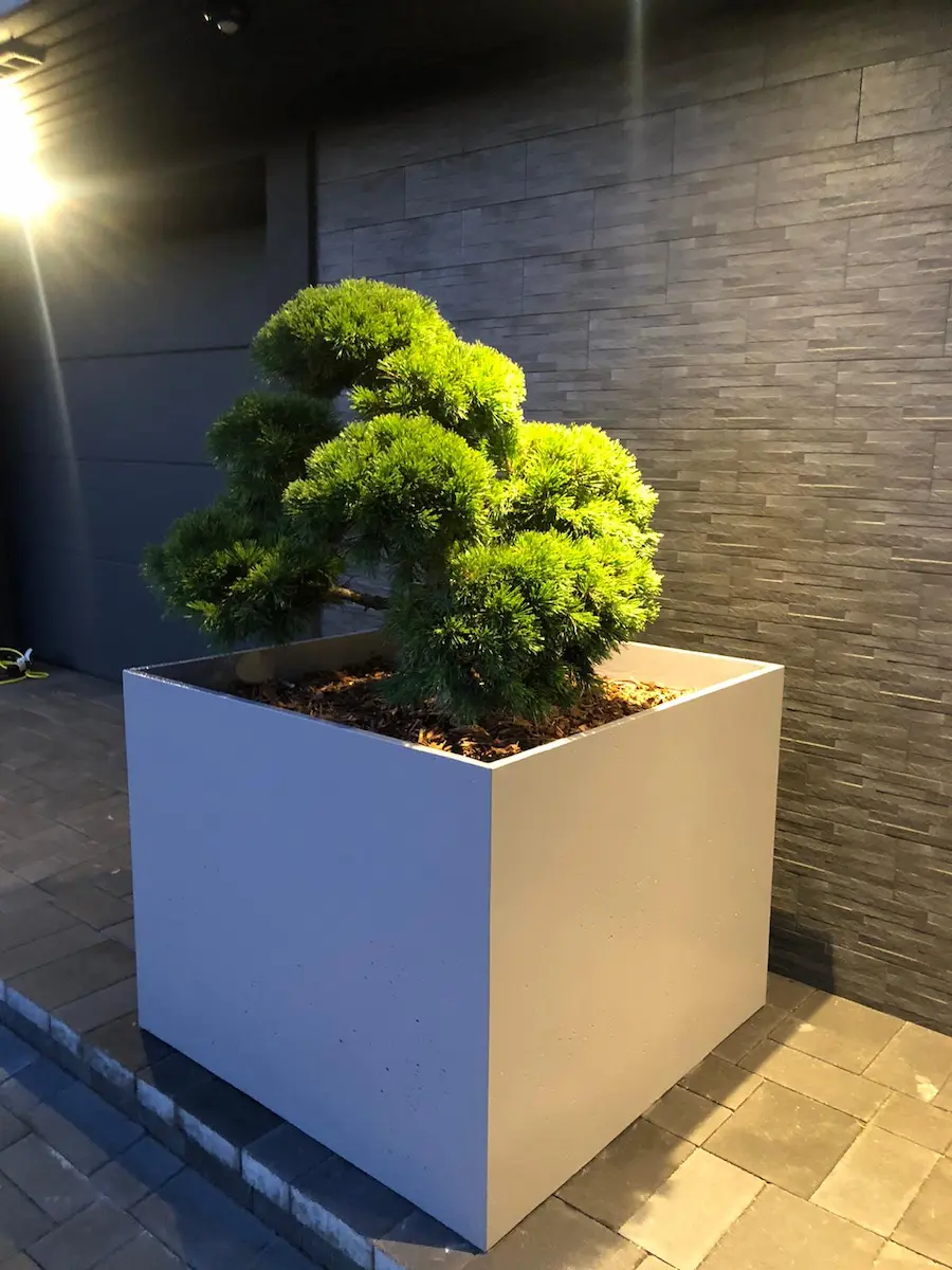 Polimēru — puķu pods